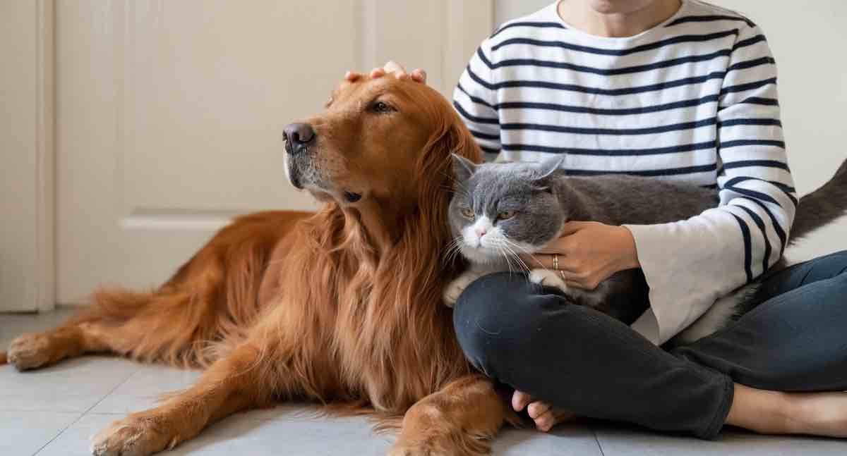 A woman sitting on the floor with a cat and dog